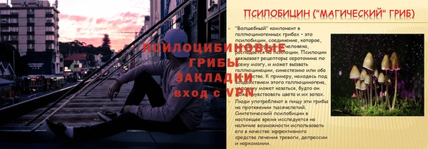 дживик Сясьстрой